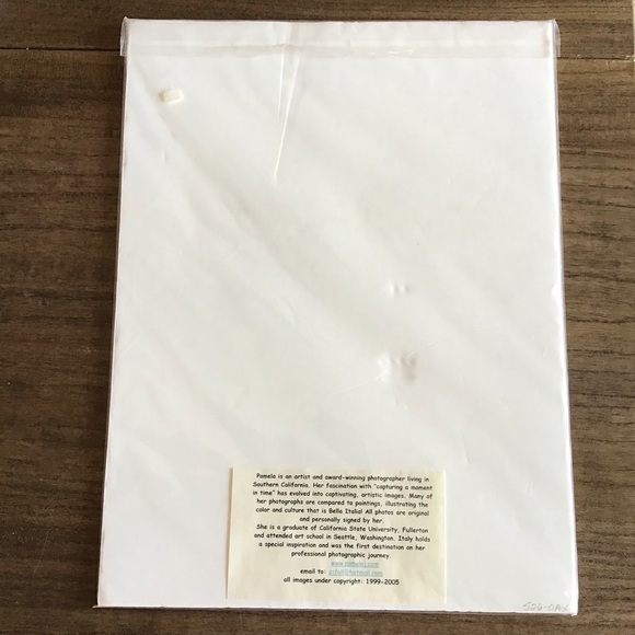 FINAL SALE Original Professional Photograph of Michelangelo David by Pamela Fall - Picture 4 of 5